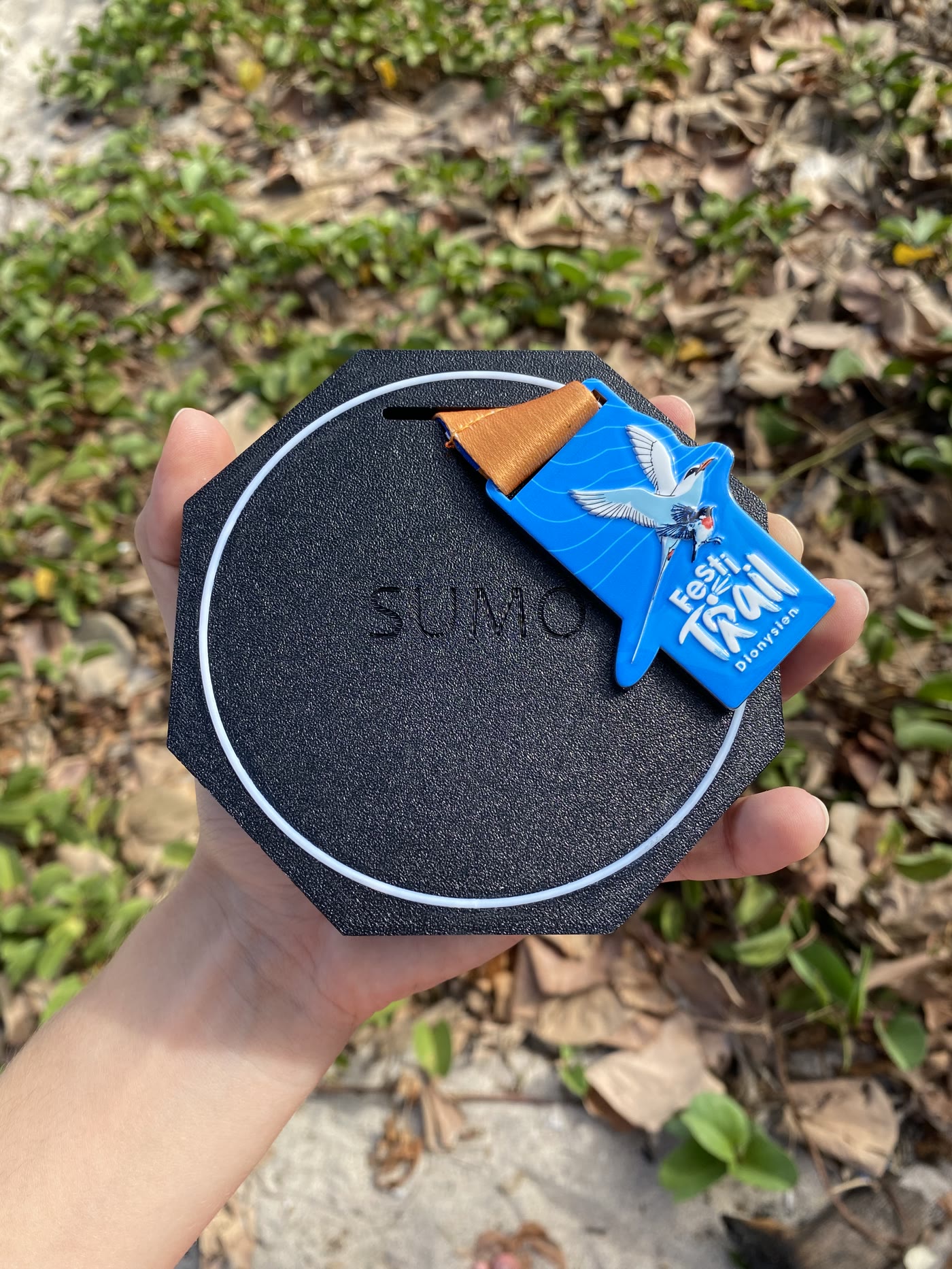 Modules SUMO chez un client — photo 3