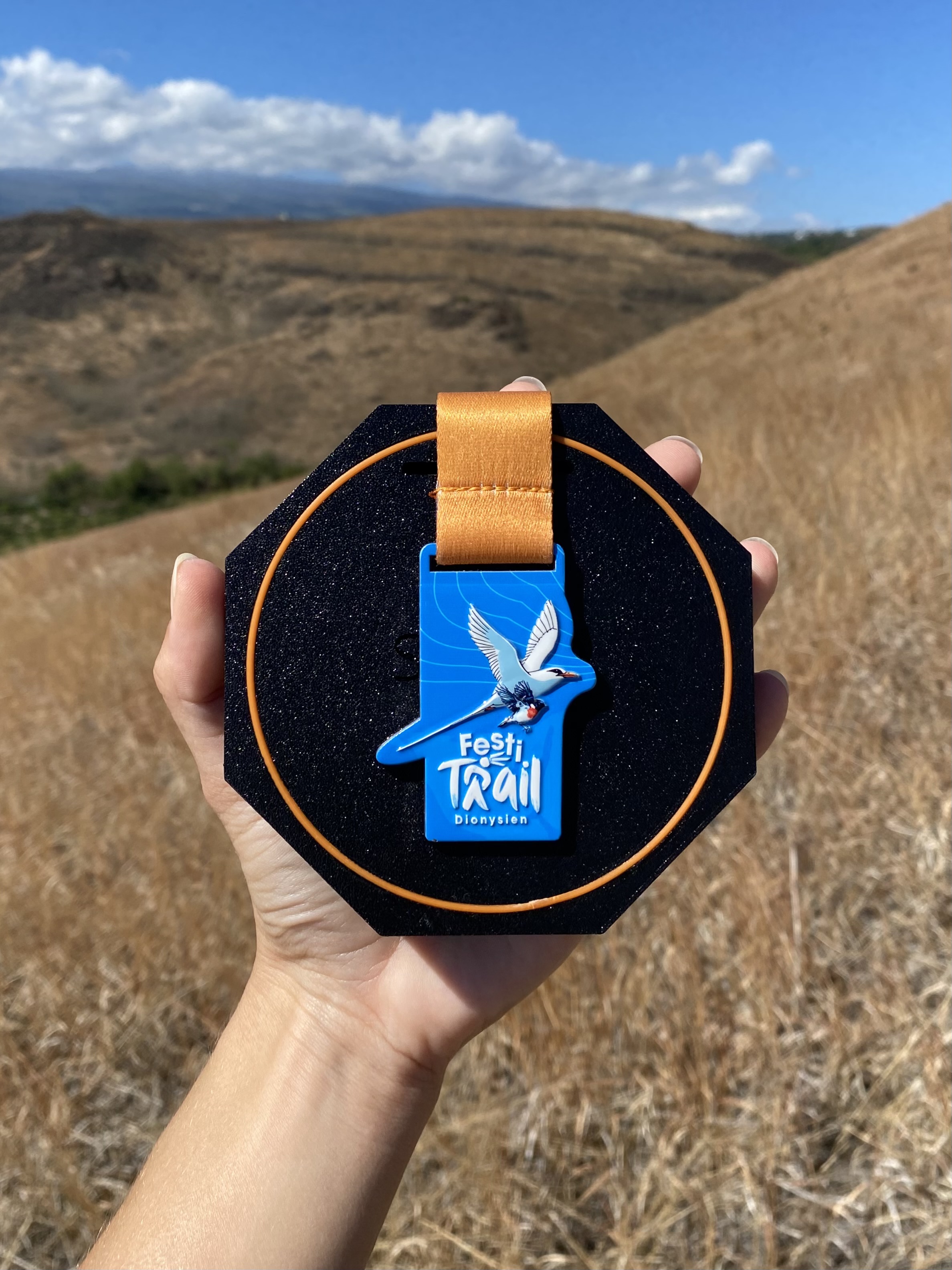 Module SUMO avec la médaille Festi Trail Dionysien, tenu face aux collines